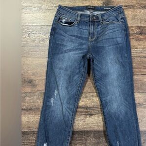 Judy Blue Skinny Fit Capri